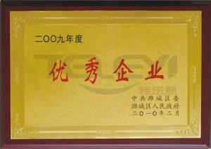 在2009年企業中得到認可