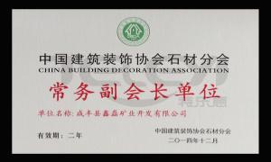 中国建筑装饰协会石材分会常务副会长单位