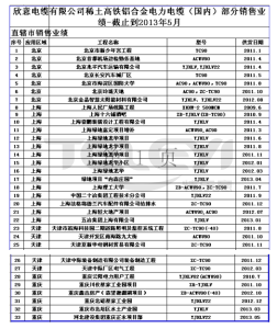 国内国外部分项目