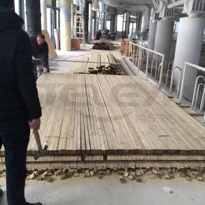 體育地板