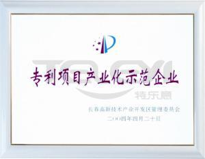 專利項目示范企業