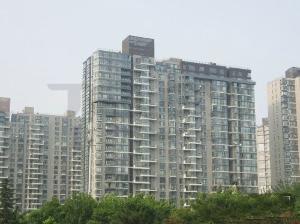 觀景龍湖