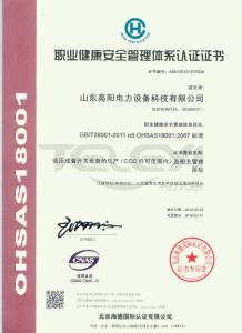 職業健康安全管理體系認證證書