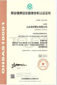 職業健康安全管理體系認證證書