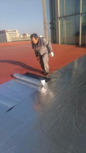 中國建筑標準設計研究院辦公樓屋面防水維修工程