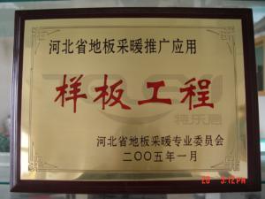 樣板工程