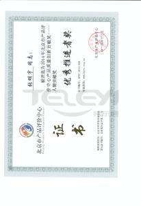 优秀推进者奖 