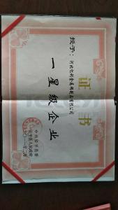 一星級企業