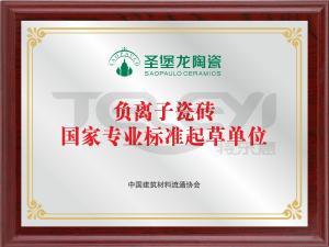負離子瓷磚國家專業標準起草單位
