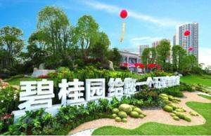 碧桂園集采