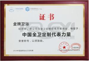 2019中國全衛定制代表力量