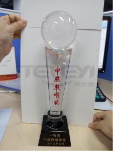 青島世界園藝博覽會-中照照明獎杯照明設計類一等獎證書
