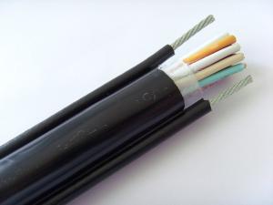 控制电缆线 RVVG手柄控制葫芦电缆线 电动葫芦电缆线